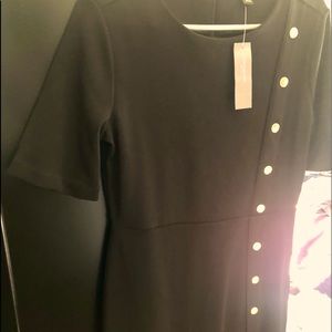 Brand New!! Ann Taylor short sleeve professional dress.